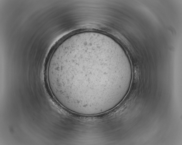 X0000112781020200909031625