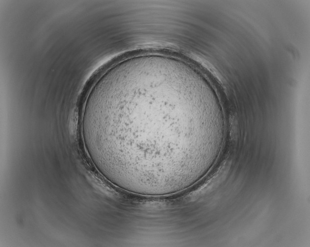 X0000112781021200909031625