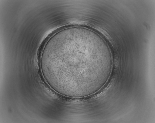 X0000112781022200909031625