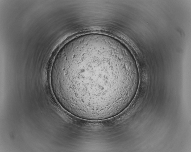 X0000112781023200909031625