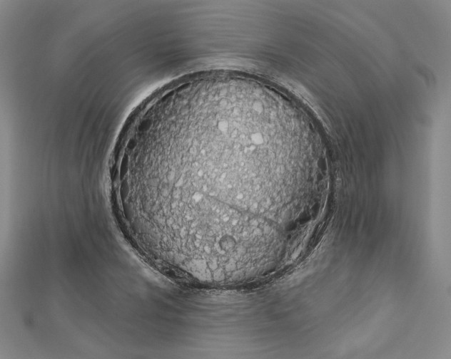 X0000112781024200909031625