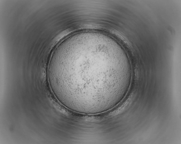 X0000112781025200909031625