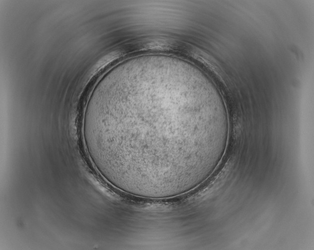 X0000112781026200909031625