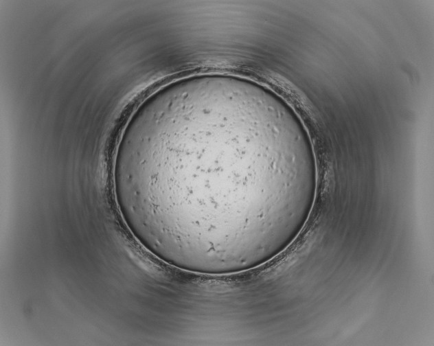 X0000112781027200909031625