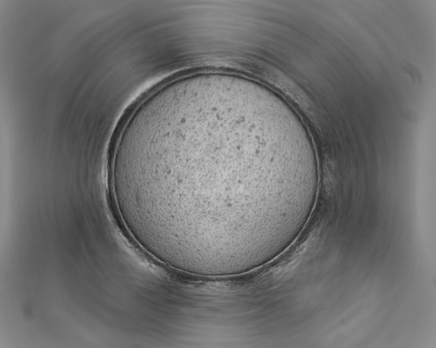 X0000112781028200909031625