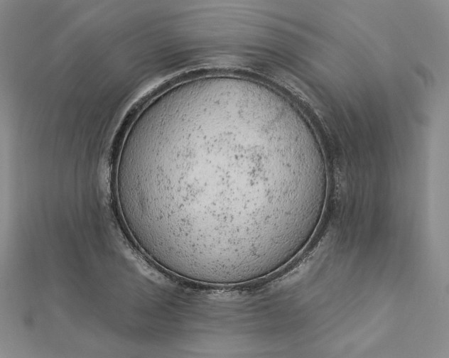 X0000112781029200909031625