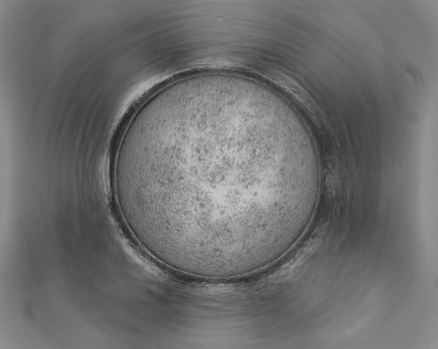 X0000112781030200909031625