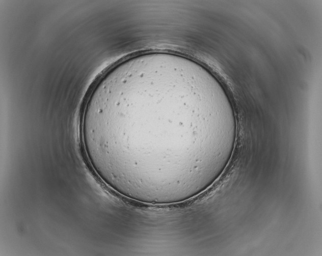 X0000112781032200909031625