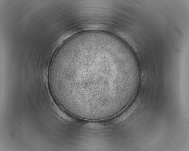 X0000112781033200909031625