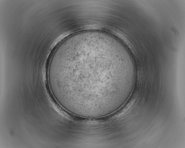 X0000112781034200909031625