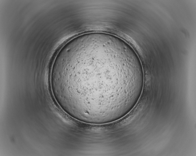 X0000112781035200909031625