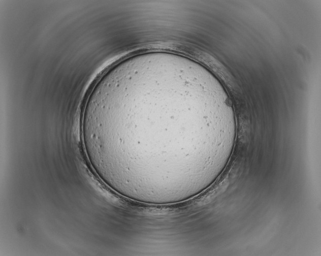 X0000112781036200909031625