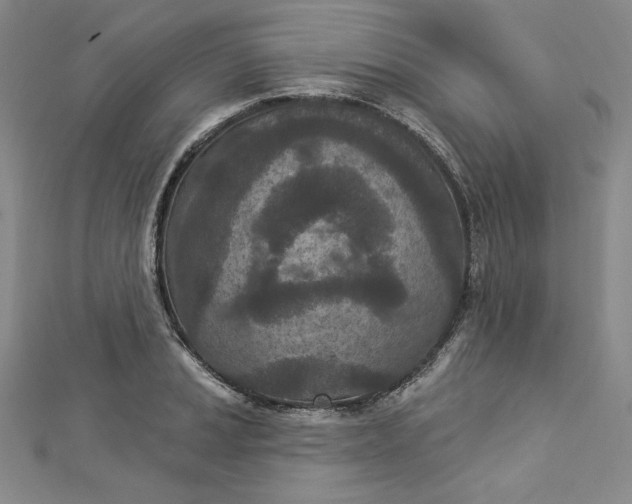 X0000112781037200909031625