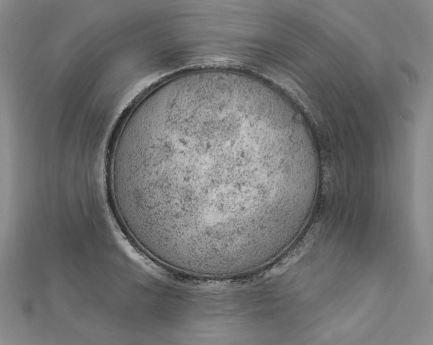 X0000112781038200909031625