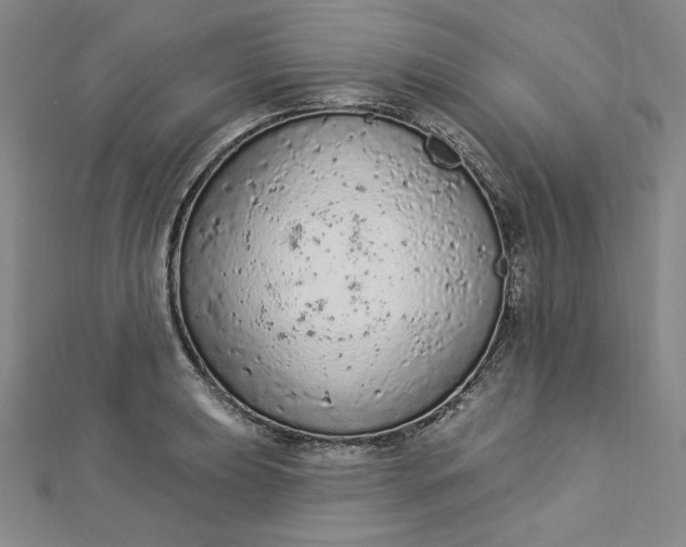 X0000112781039200909031625