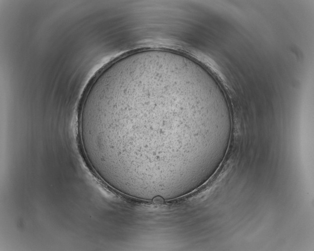 X0000112781040200909031625