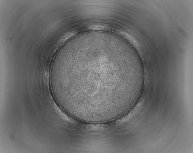 X0000112781041200909031625