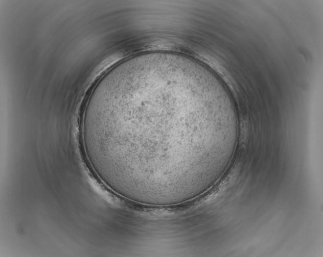 X0000112781042200909031625