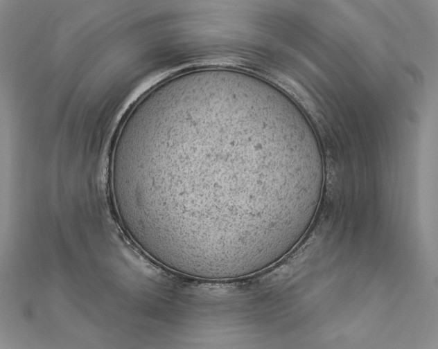 X0000112781044200909031625