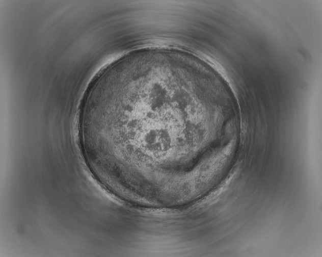 X0000112781045200909031625