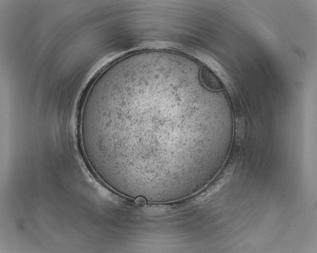 X0000112781046200909031625