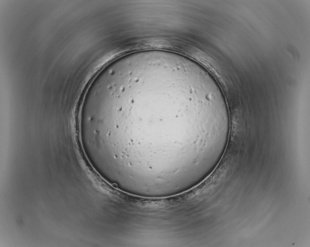 X0000112781047200909031625