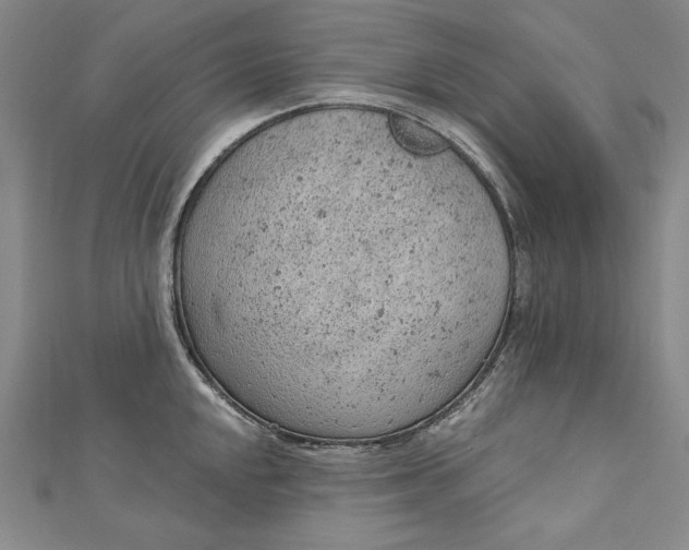 X0000112781048200909031625