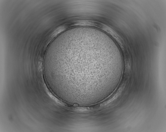 X0000112781049200909031625