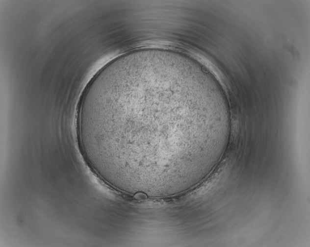 X0000112781050200909031625