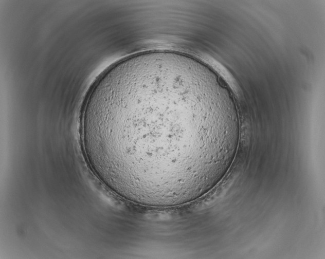 X0000112781051200909031625