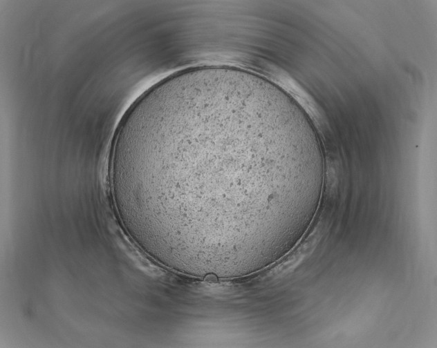 X0000112781052200909031625