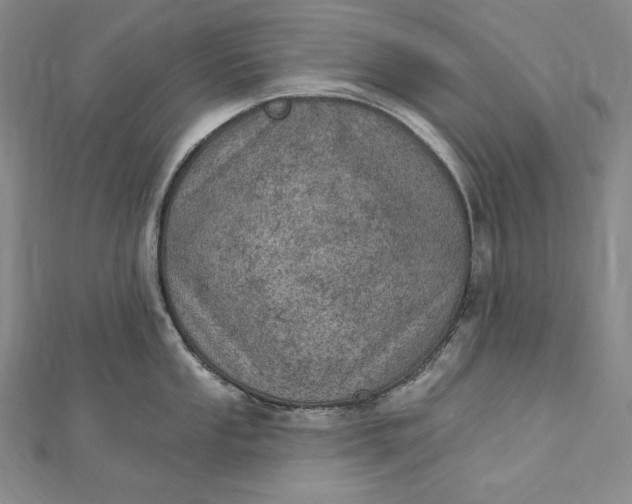 X0000112781053200909031625