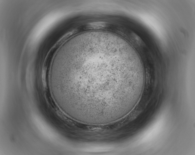 X0000112781054200909031625