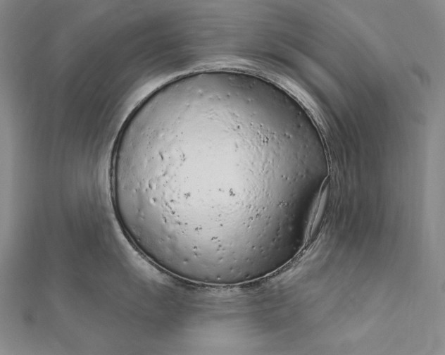 X0000112781055200909031625