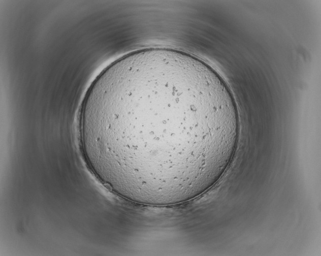 X0000112781056200909031625