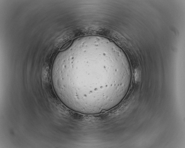 X0000112781059200909031625