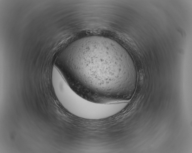 X0000112781060200909031625