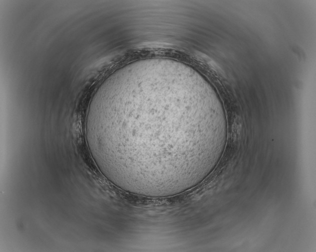 X0000112781062200909031625