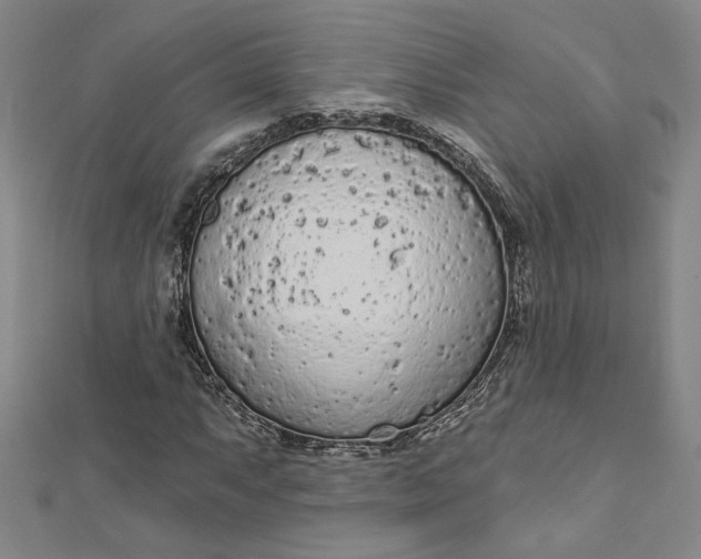 X0000112781063200909031625