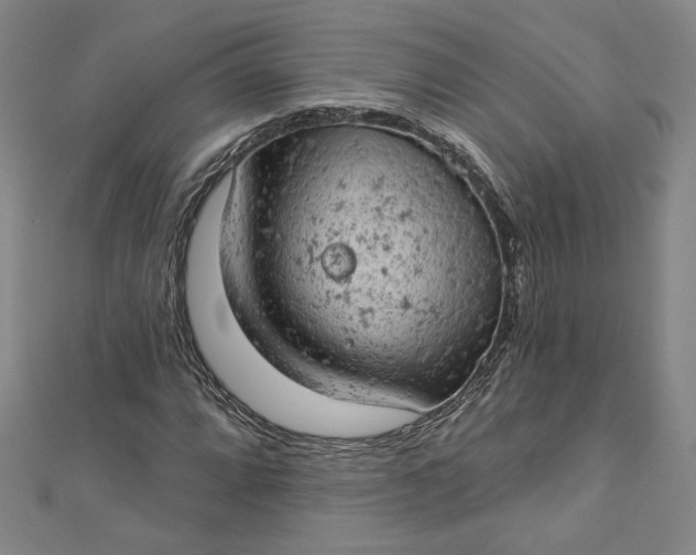 X0000112781064200909031625