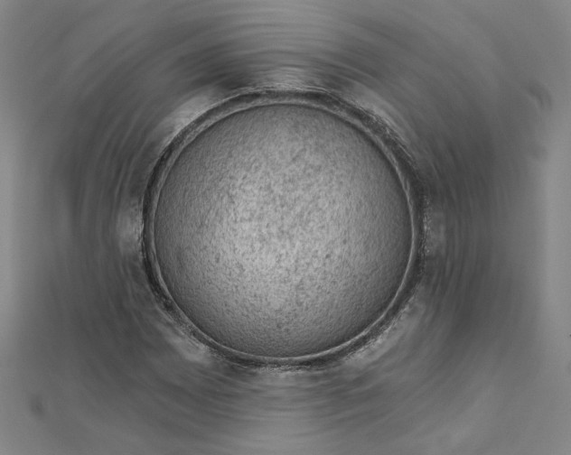 X0000112781065200909031625