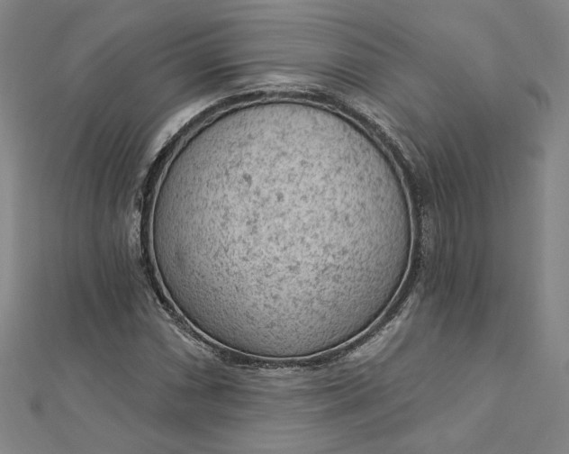 X0000112781066200909031625