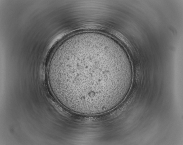 X0000112781067200909031625