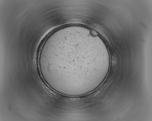 X0000112781068200909031625