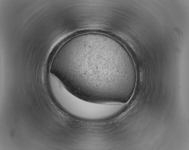 X0000112781069200909031625