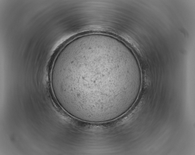 X0000112781070200909031625