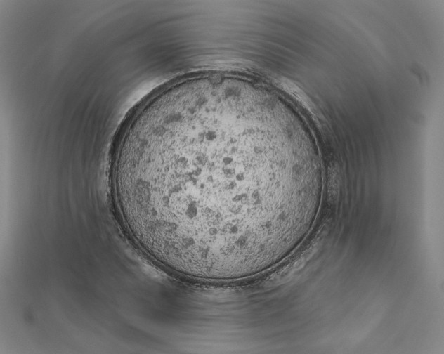 X0000112781071200909031625