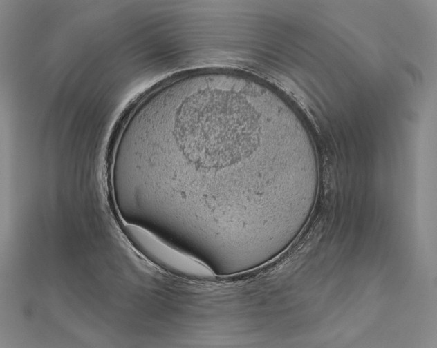 X0000112781072200909031625