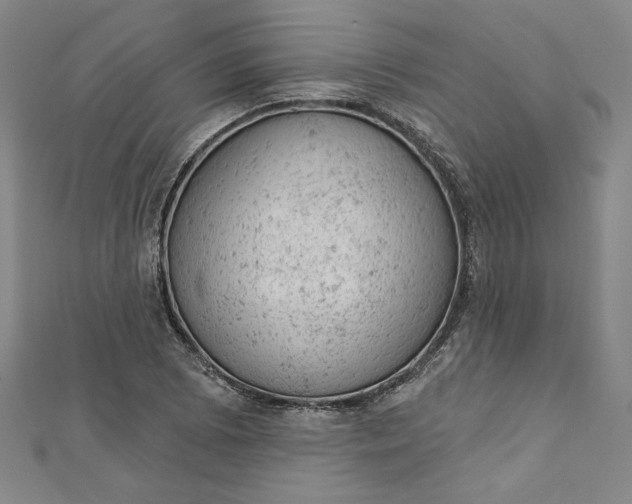 X0000112781073200909031625