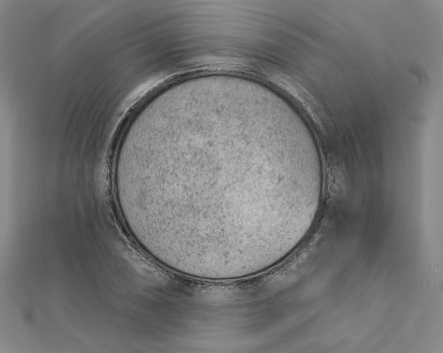 X0000112781074200909031625